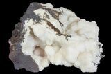 Manganoan Calcite and Kutnohorite Association - Fluorescent! #169793-1